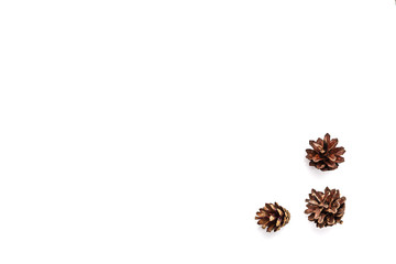 brown fir cone on a white background on New Year's Eve