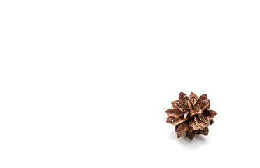 brown fir cone on a white background on New Year's Eve