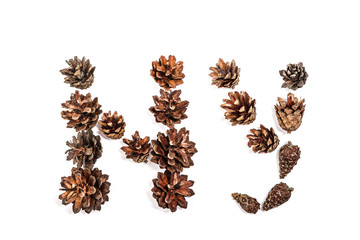 NY of brown fir cones on a white background on New Year's Eve