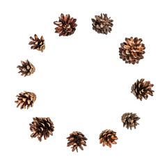 brown fir cone on a white background on New Year's Eve