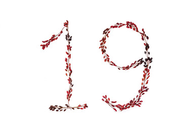 number nineteen is depicted with barberry twigs