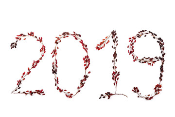 number two thousand nineteen is depicted with barberry twigs