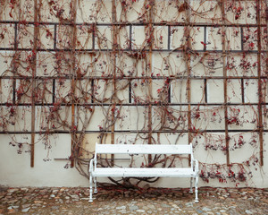 Bench with autumn plants 01