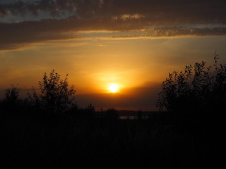 Sunset. On the big river. Beautiful sky. Tree and leaves. Summer. Russia, Ural, Perm region