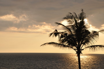 tropischer Sonnenuntergang am Straand mit Palme