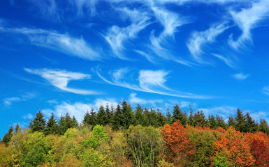 Fototapeta na wymiar Mountain autumn landscape in the Germany .Nature autumn landscape.