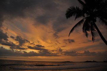 tropischer Sonnenuntergang am Straand mit Palme