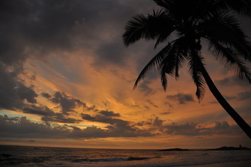 Naklejka na ściany i meble tropischer Sonnenuntergang am Straand mit Palme