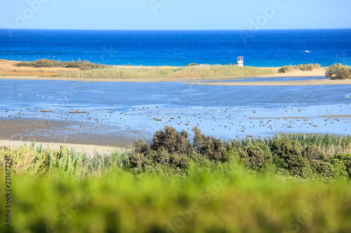 Dune Di Chia Chia Con Vista Dallo Stagno Sardegna Stock