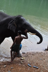 Elefant mit Elefantenführer