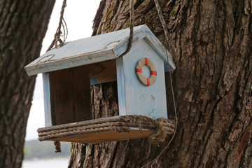 bird feeder on a tree