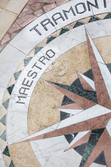 Rosa dei venti con i punti cardinali