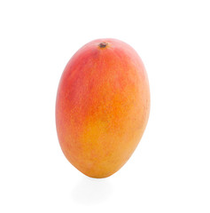 Mango on white background