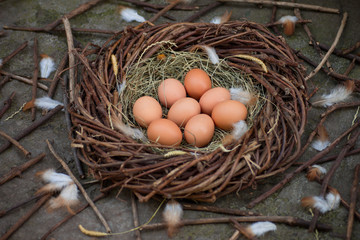 A pile of eggs in the hay in the nest