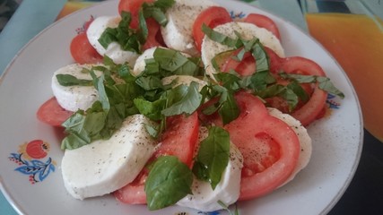 salad, food, tomato, cheese, vegetable, meal, healthy, mozzarella, fresh, plate, dinner, lunch, red, tomatoes, green, caprese, cuisine, diet, appetizer, lettuce, basil, italian, white, delicious, vege