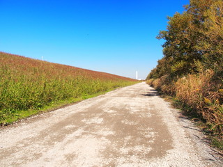 河川敷の砂利道風景
