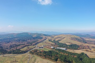 Autumn leaves of Mt. Aso