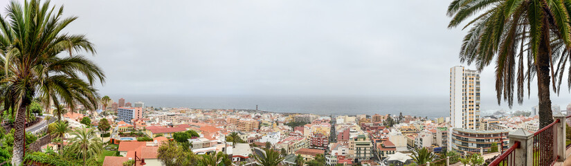 Fototapeta na wymiar panorama of puerto de la cruz, tenerife, framed by palm trees