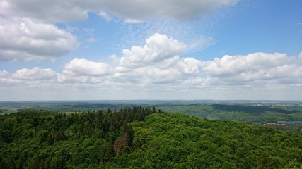 natura drzewa kolory rośliny niebo chmury  © DEM