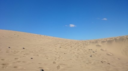natura drzewa kolory rośliny niebo chmury  © DEM