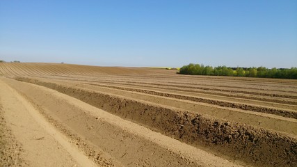 natura drzewa kolory rośliny niebo chmury  © DEM