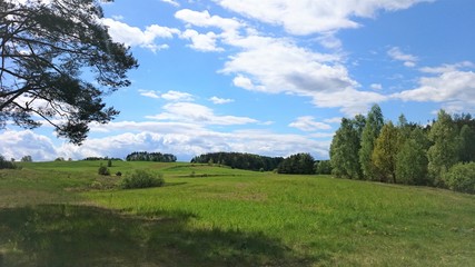 natura drzewa kolory rośliny niebo chmury 