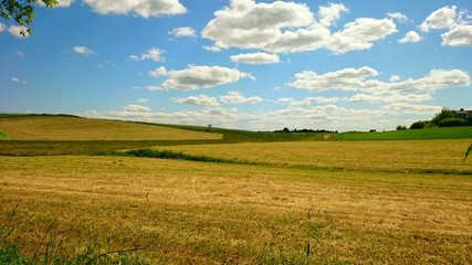 natura drzewa kolory rośliny niebo chmury  © DEM