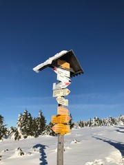natura drzewa kolory rośliny niebo chmury  © DEM