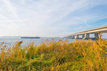 Bridge over a lake in sunlight at fall