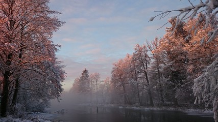 natura drzewa kolory rośliny niebo chmury  © DEM