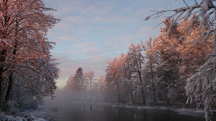 natura drzewa kolory rośliny niebo chmury  © DEM