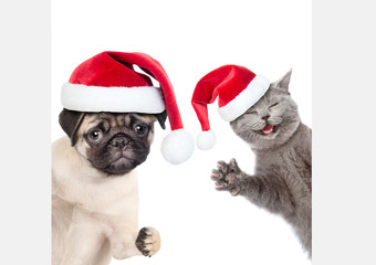 Cat and Dog with red christmas hats peeking behind empty white board and looking at camera. isolated on white background