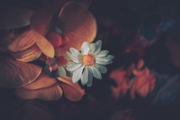 Artificial Flowers Wall for Background in vintage style