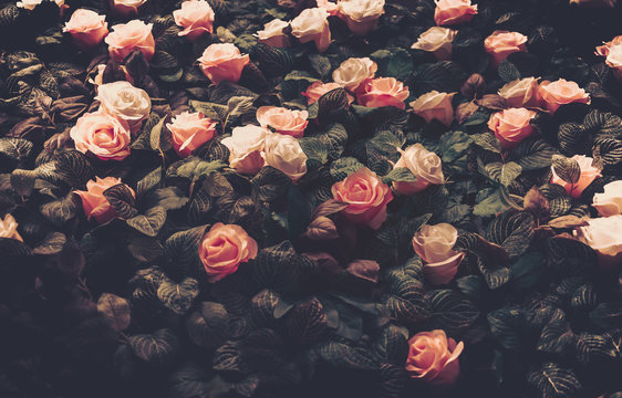 Fototapeta Artificial Flowers Wall for Background in vintage style