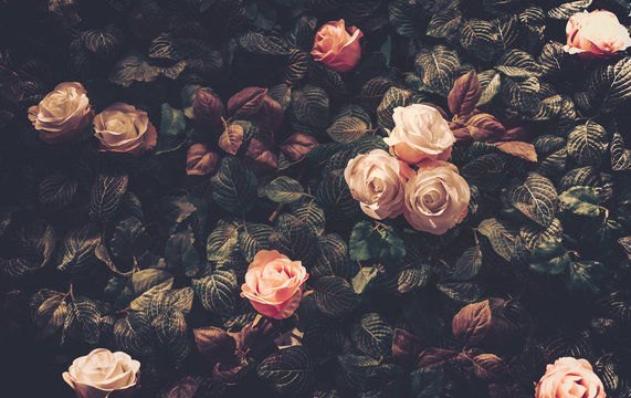Artificial Flowers Wall for Background in vintage style © joeycheung