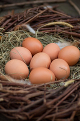 A pile of eggs in the hay in the nest