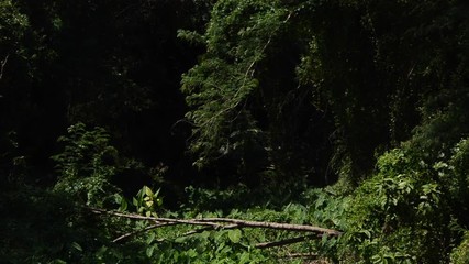 Nice rural landscape in Thailand