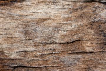 Plakat Wood patterned background on space