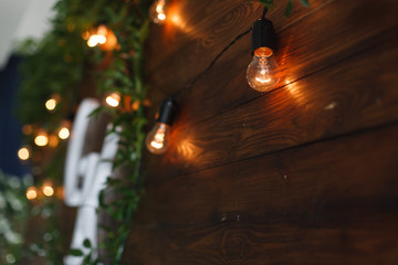 wooden surface with garland light bulbs.
light bulbs on a wooden background
