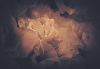 Artificial Flowers Wall for Background in vintage style