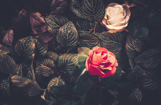 Fototapeta Artificial Flowers Wall for Background in vintage style