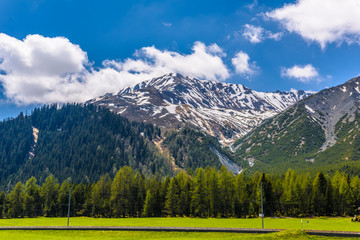 Alps Mountains covered with pine forest, Davos,  Graubuenden, Switzerland