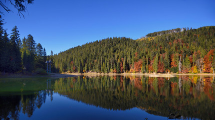 Synevir high altitude lake and forest is reflected in calm water at autumn day