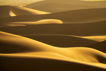 Fototapeta na wymiar Background with of sandy dunes in desert