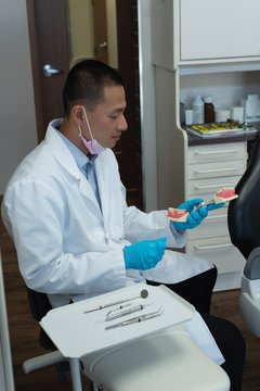 Male dentist holding artificial teeth in clinic