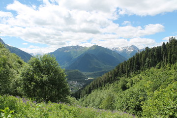 Naklejka premium mountain