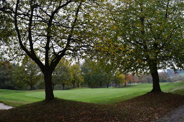 Heimlicher Blick auf einen Golfplatz im Herbst