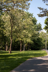 Beautiful park scene