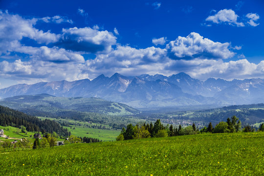 Fototapeta View of Tatra mountains in spring.