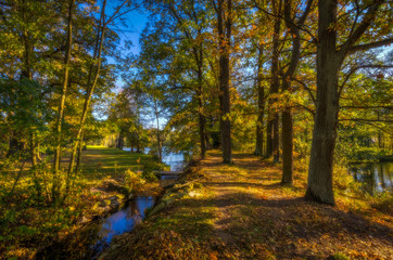 Small stream flowing into lake with path full of colorful fallen leaves with big old trees, near Hamry nad Sazavou, Czech Republic, Orton effect